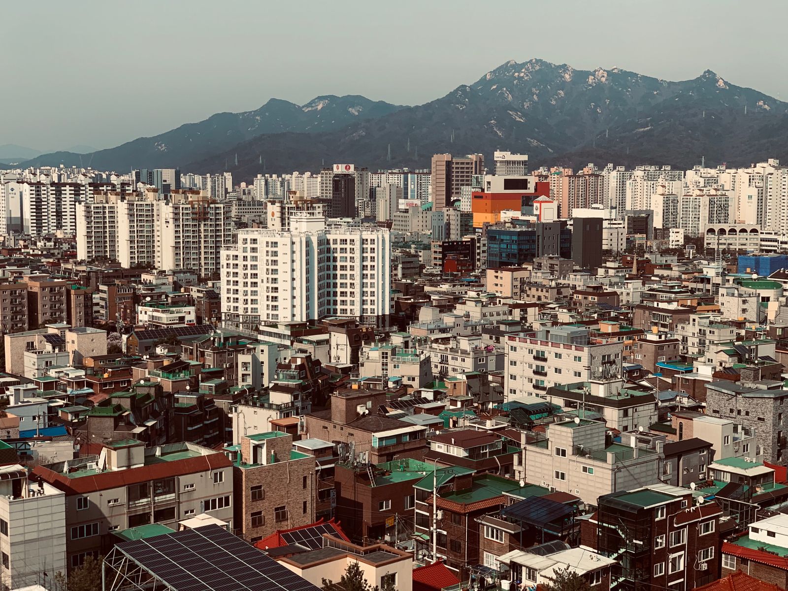 오피 4